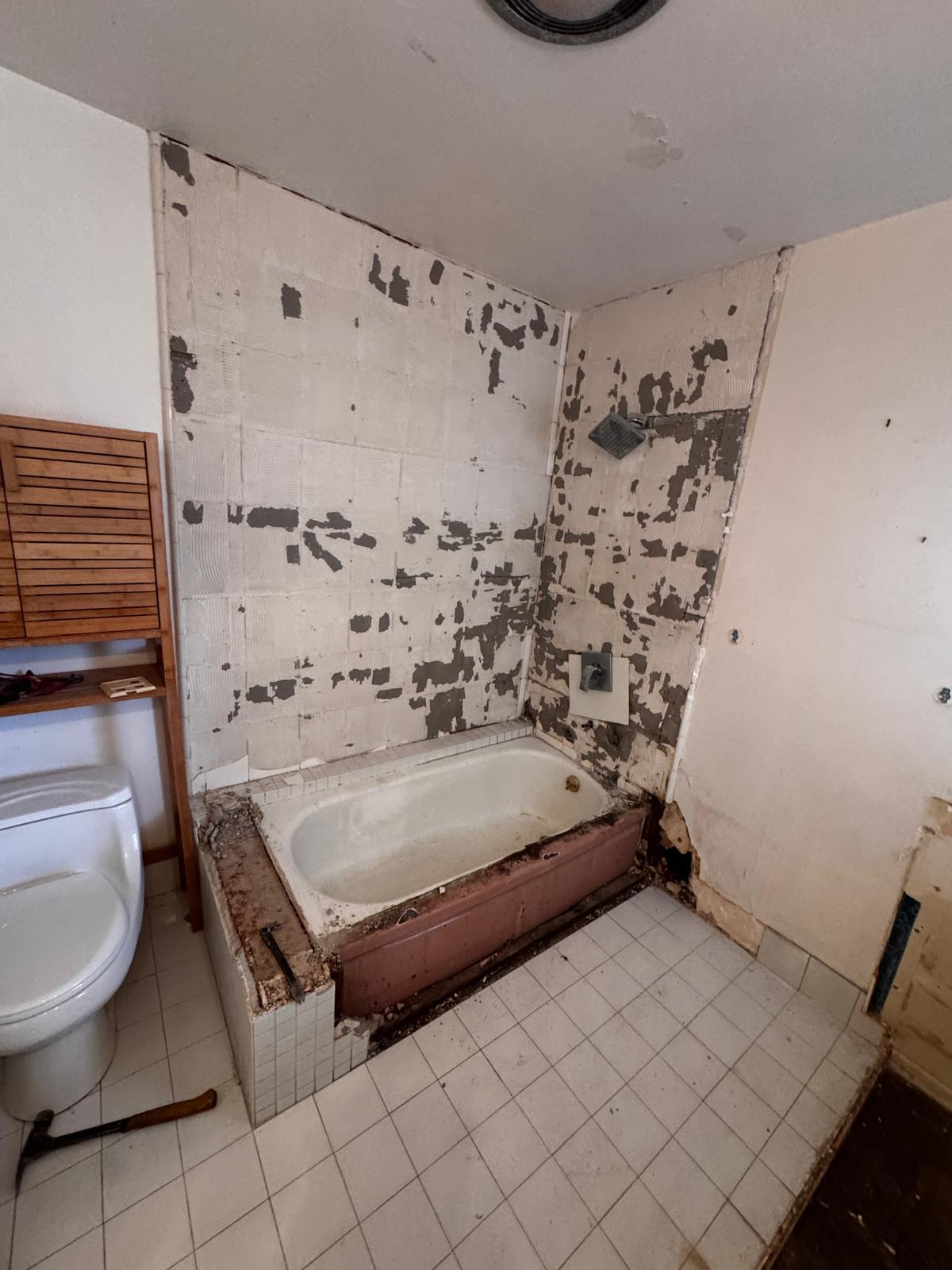 Northridge bathroom remodel — project photo