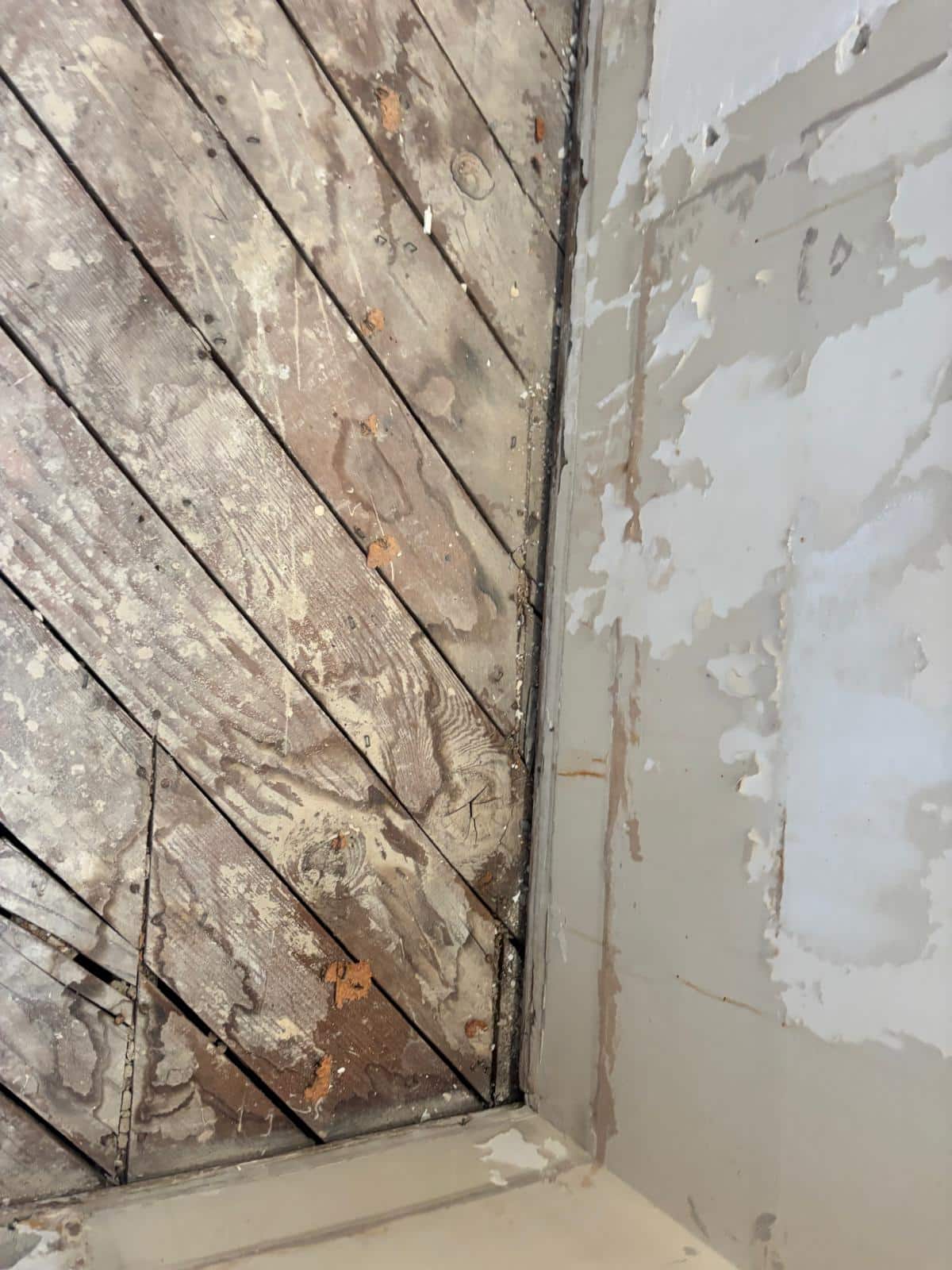 Northridge bathroom remodel — project photo