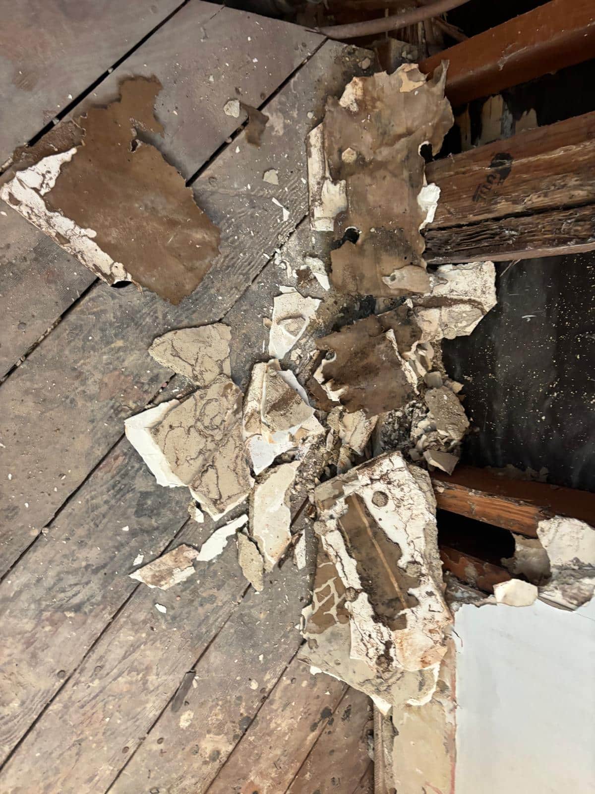 Northridge bathroom remodel — project photo